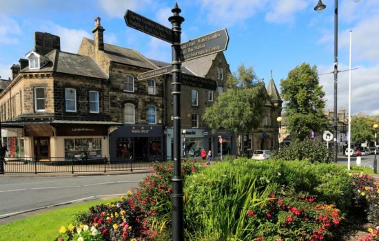 xr:d:DAFo-g5HrKs:245,j:2942385626939775071,t:23111411